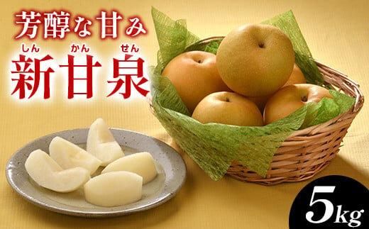289.新甘泉(しんかんせん)5kg(JA) ※2025年8月下旬〜9月上旬頃に順次発送予定 313726_AT003-P