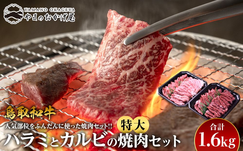45.鳥取牛ハラミと鳥取和牛カルビの特大焼肉セット 合計1.6kg 313726_AJ041-P