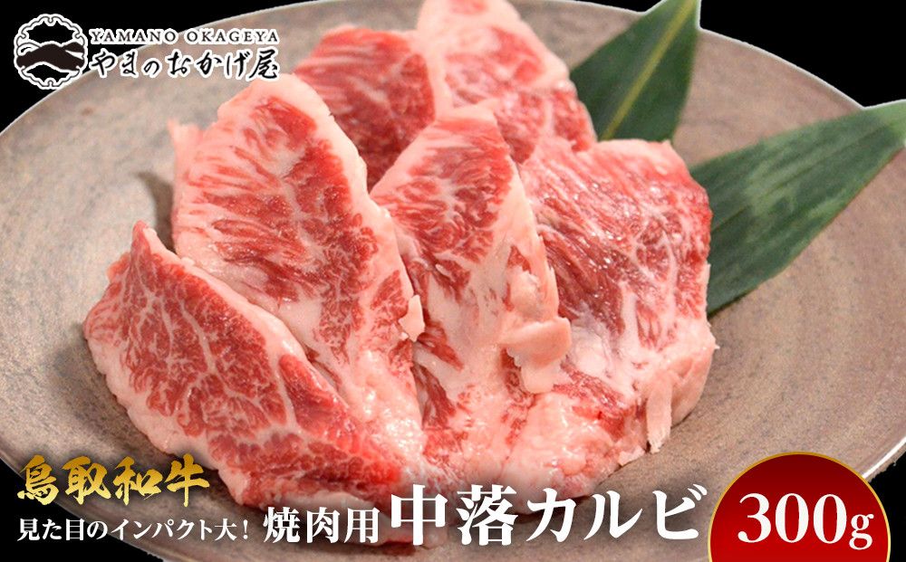 57.鳥取和牛 焼肉用 中落カルビ 300g 313726_AJ052-P