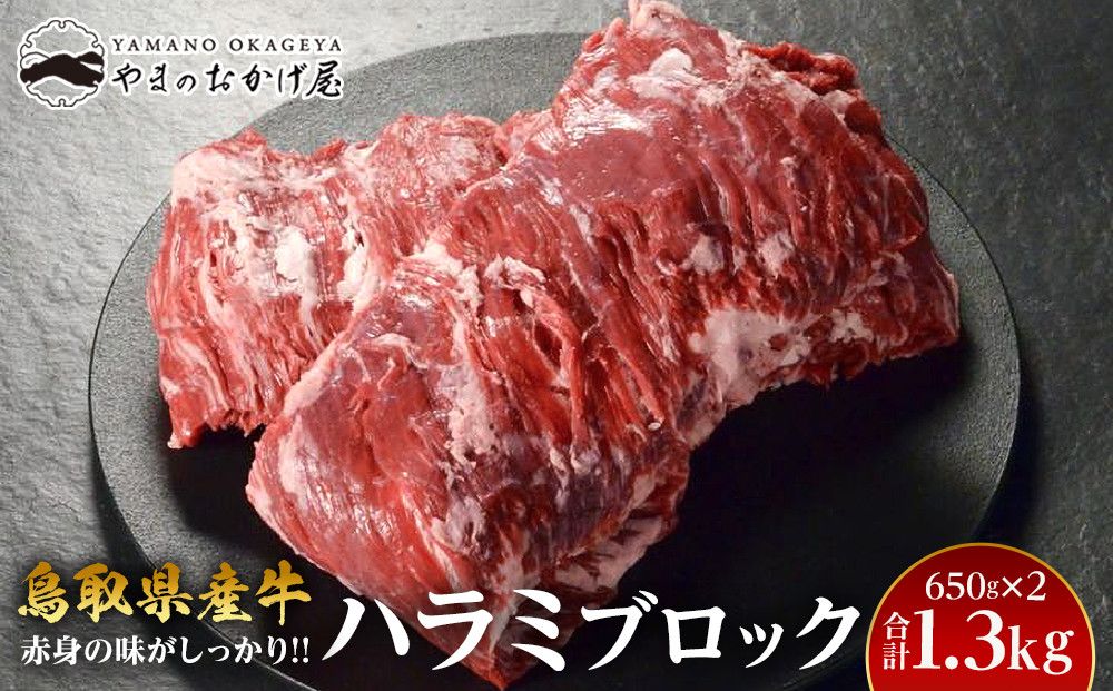 62.鳥取県産牛 ハラミブロック 650g×2パック 313726_AJ056-P