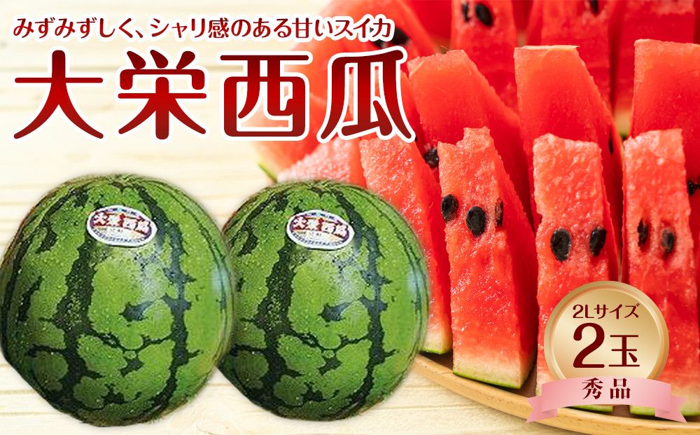733.[先行予約][JA]大栄西瓜 秀2L×2玉 ※着日指定不可 ※離島への配送不可 ※2025年6月中旬頃〜7月中旬頃に順次発送予定 313726_BN002-P