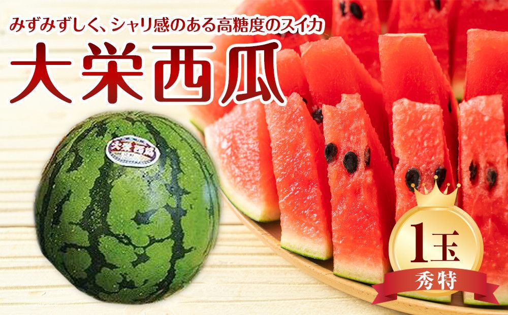 734.[先行予約][JA]大栄西瓜 秀特×1玉 ※着日指定不可 ※離島への配送不可 ※2025年6月中旬頃〜7月中旬頃に順次発送予定 313726_BN003-P