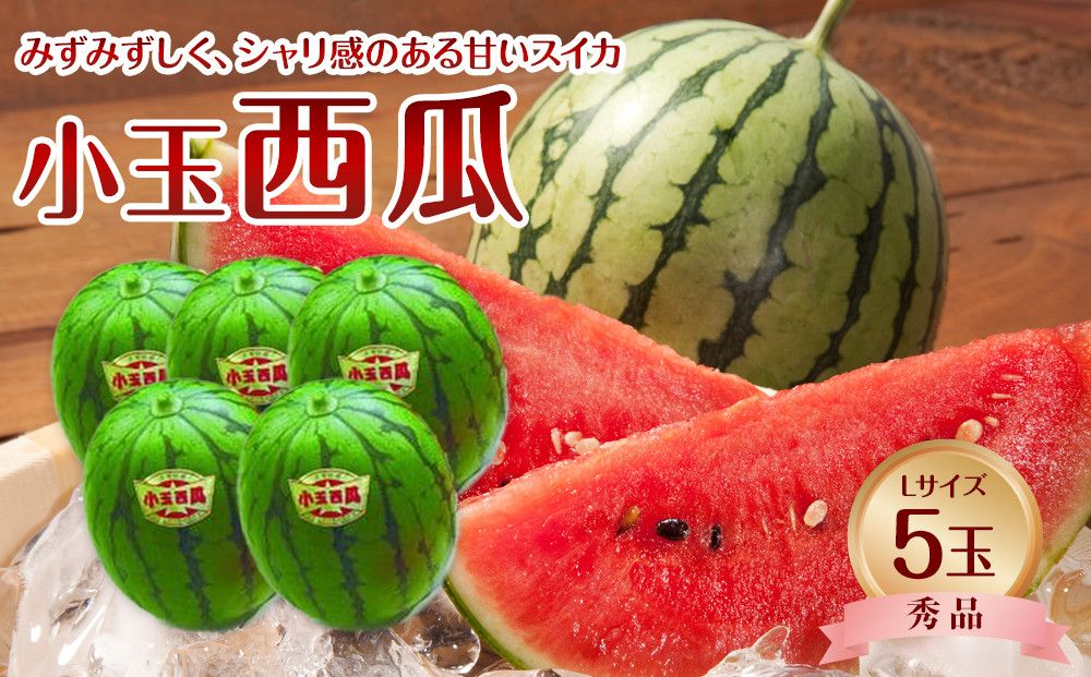735.[先行予約][JA]小玉西瓜 秀L×5玉 ※着日指定不可 ※離島への配送不可 ※2025年9月初旬頃〜10月中旬頃に順次発送予定 313726_BN004-P