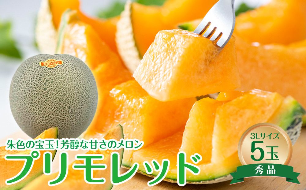 739.[先行予約][JA]プリモレッド(赤肉)赤秀3L×5玉 ※着日指定不可 ※離島への配送不可 ※2025年9月末頃〜10月下旬頃に順次発送予定 313726_BN009-P