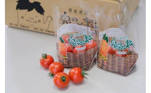 347.鬼のとまと◇ ※2025年6月上旬〜10月下旬頃に順次発送予定 313726_AX001-P