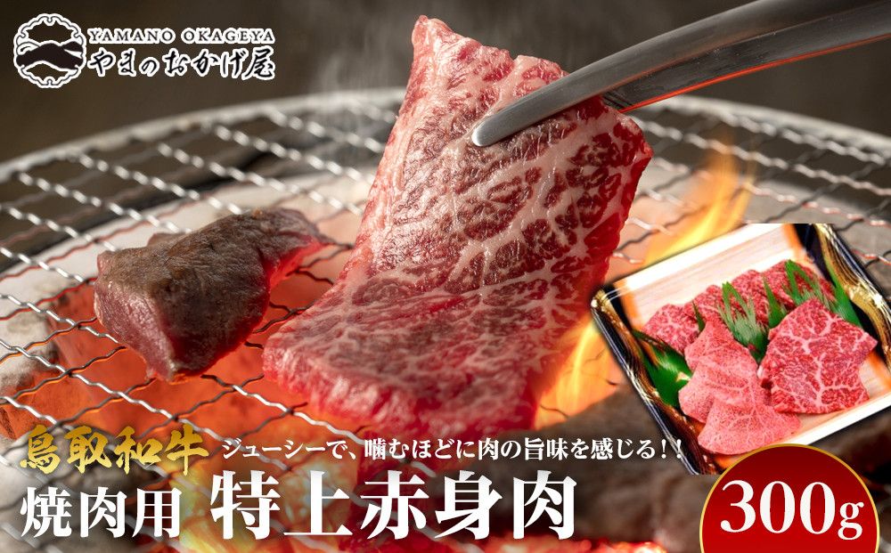 56.鳥取和牛 焼肉用特上赤身肉 300g 313726_AJ074-P