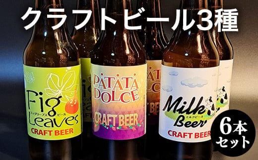 621.クラフトビール3種6本セット ※離島への配送不可 313726_AY004-P