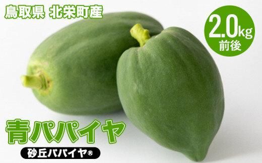 781.青パパイヤ(砂丘パパイヤ)2.0kg前後※2025年9月中旬〜11月下旬頃に順次発送予定※離島への配送不可 313726_BA002-P