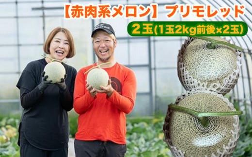 808.[赤肉系メロン]プリモレッド×2玉(1玉2kg前後×2玉)※離島への配送不可 313726_BQ008-P