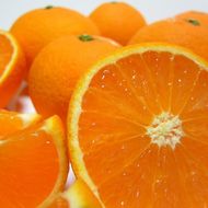 特選 完熟 清見 オレンジ 約5kg［先行予約］［MS37］ 303446_XD90055