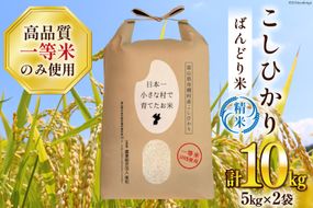 【期間限定発送】 米 令和7年 ばんどり米 コシヒカリ 精米 10kg ( 5kg ×2袋) 一等米 [農事組合法人東和 富山県 舟橋村 57050177] お米 白米 美味しい こしひかり 富山 農家