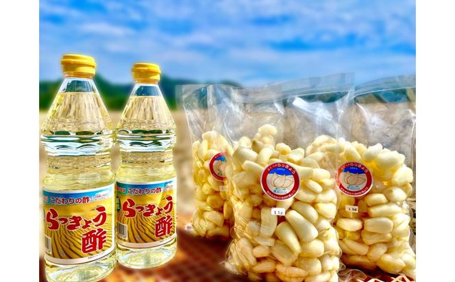 橋本さんちの生洗いらっきょう 3kg (らっきょう酢付) 312011_BL008