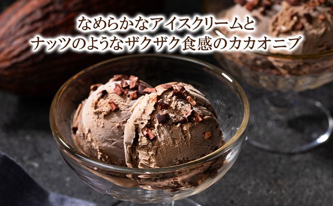 【dari K（ダリケー）】ザクザク食感のカカオニブチョコレートアイス(8個セット)［ 京都 チョコレート カカオを通して世界を変える 濃厚 チョコ アイス 人気 おすすめ お菓子 洋菓子 スイーツ ギフト プレゼント お取り寄せ 通販 送料無料 ふるさと納税 ］ 261009_B-CL29