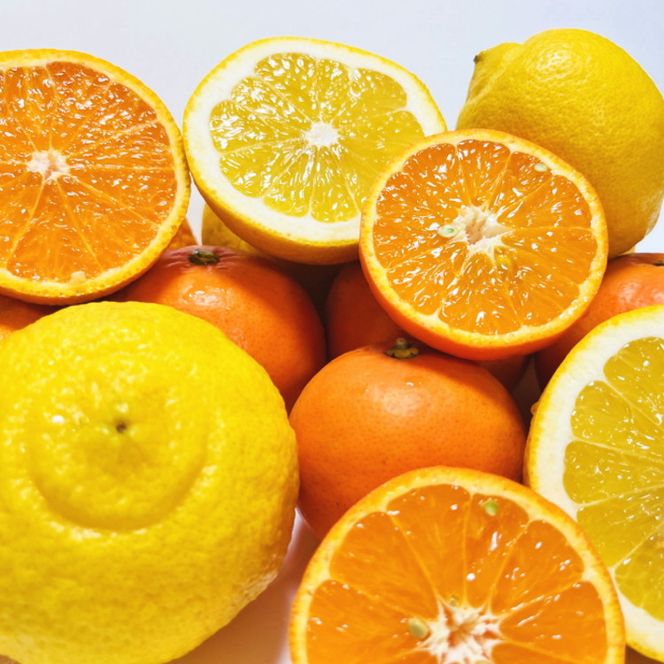 有田育ちの 旬の 柑橘 詰合せセット（ご家庭用）約5kg［先行予約］［MS64］ 303446_XD90065