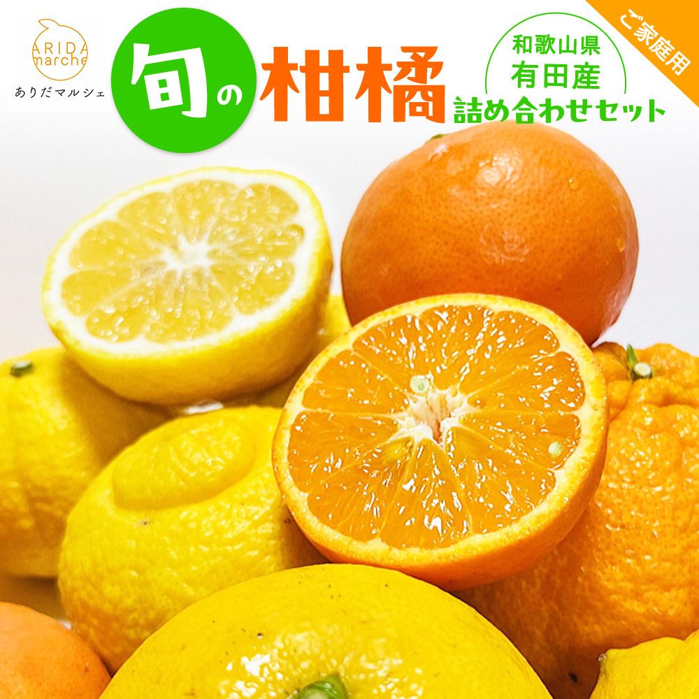 有田育ちの 旬の 柑橘 詰合せセット(ご家庭用)約2.5kg[先行予約][MS63] 303446_XD90214