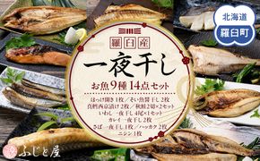 一夜干し お魚9種14点セット  ほっけ開き そい 鱈 秋鮭 さば いわし カレイ ハッカク ニシン 北海道 知床 羅臼町 生産者 支援 応援 016942_BQ014