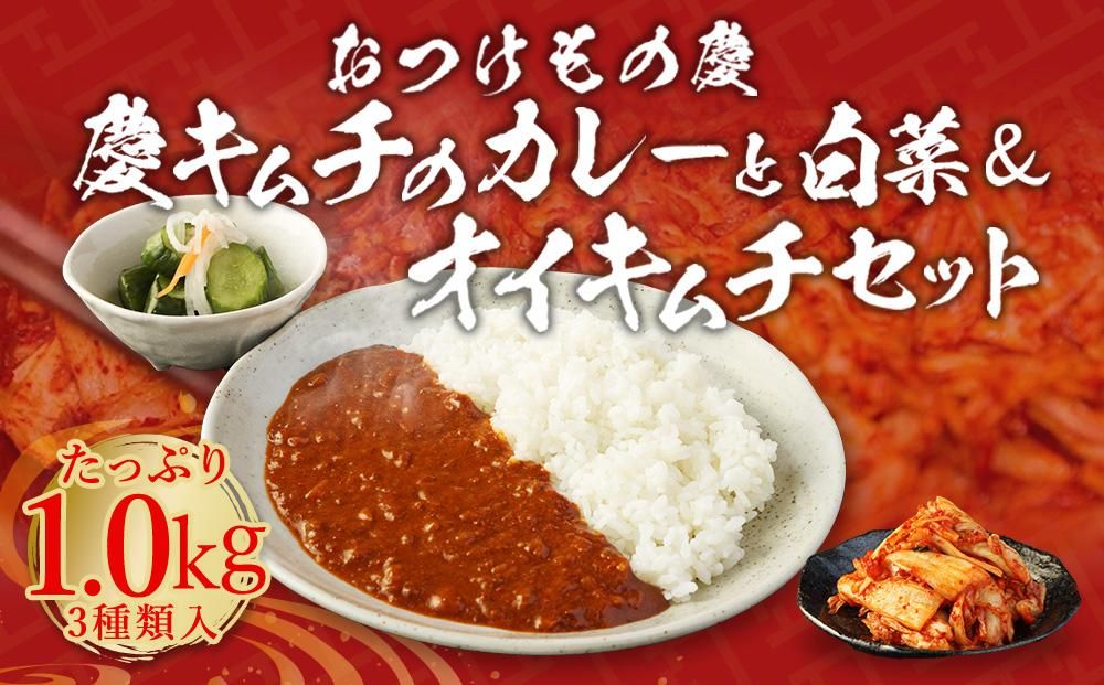 「慶」キムチのカレーと白菜&オイキムチセット 141305_AH02