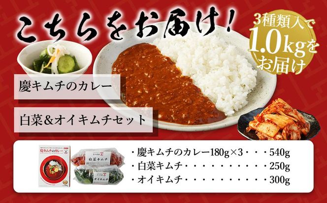 「慶」キムチのカレーと白菜＆オイキムチセット 141305_AH02