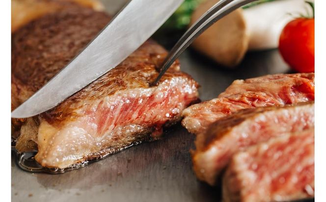 川崎日航ホテル レストランナトゥーラ「ディナーブッフェ ペアお食事券（金、土、日、祝日限定）」 141305_AZ33