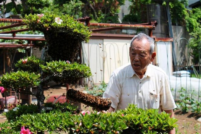 【川崎日航ホテル】かわさき産はちみつの焼き菓子詰め合わせ（7種15個入り） 141305_AZ52