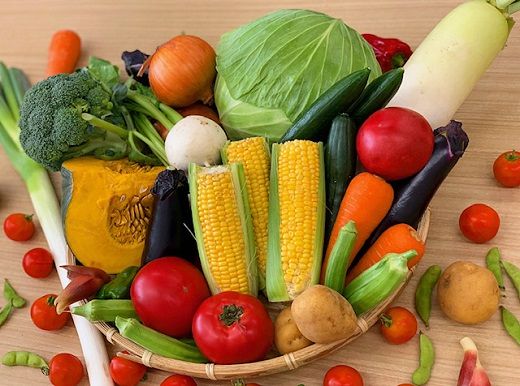 y_ސ쌧szssYVN؁E_Ylߍ킹 141305_BC01