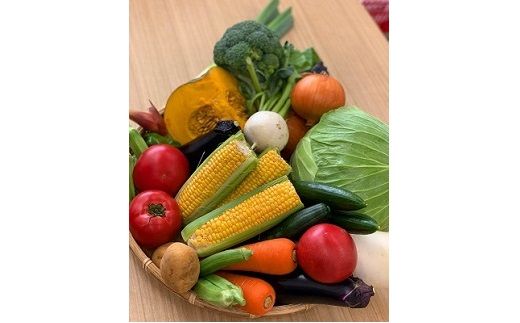 川崎市市内産新鮮野菜・農産物詰め合わせ 141305_BC01