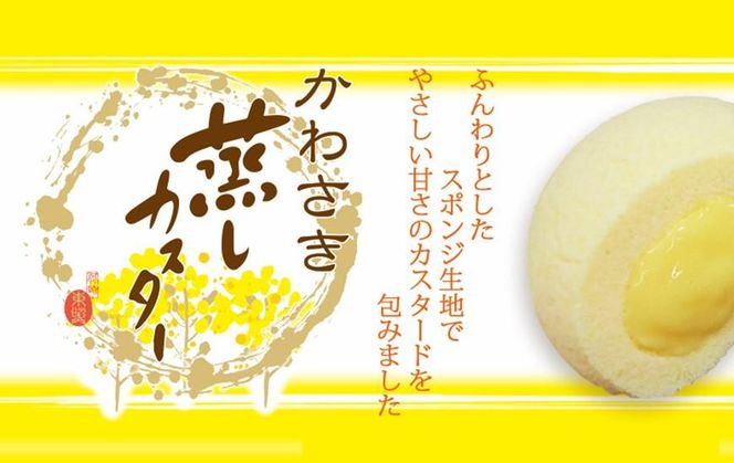 東照銘菓８種お詰め合わせ 141305_CA04