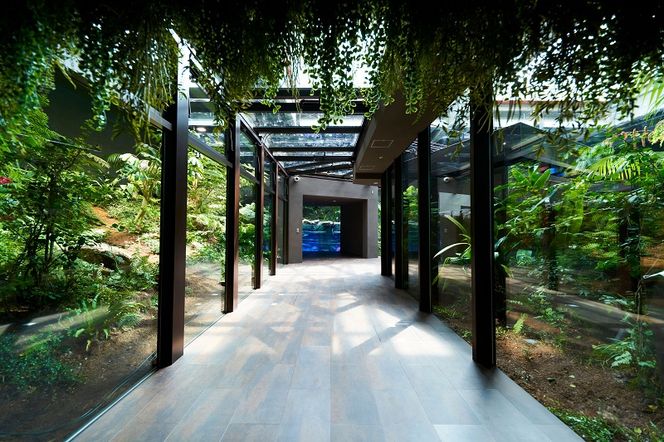 カワスイ 川崎水族館ペアチケット　 141305_CZ01