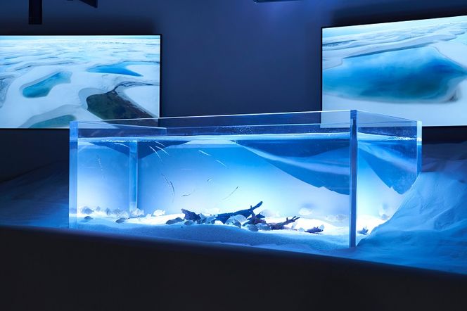 カワスイ 川崎水族館ペアチケット　 141305_CZ01