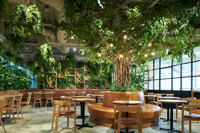 カワスイ 川崎水族館ペアチケット　 141305_CZ01