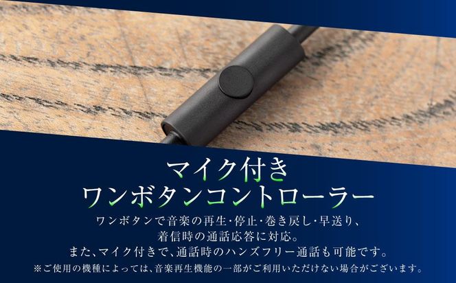 マイク付きハイレゾ有線イヤホン final E1000C BLUE 141305_DC03VC02