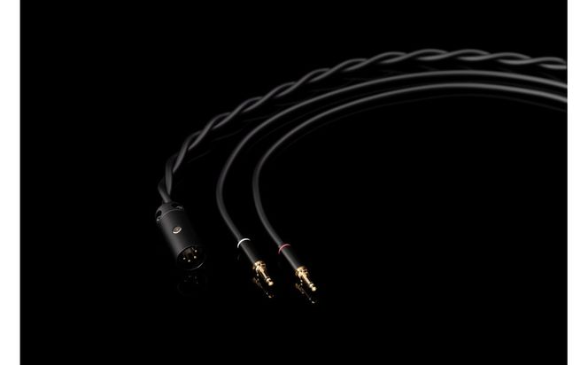 AFDS平面磁界型ヘッドホン final D8000 DC 141305_DC46