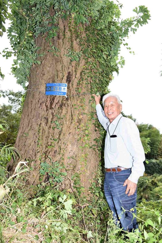 愛する人へ 幸せのお守り ★天地人Hugくむ★　無二の星★贈答品【麻生区岡上のご神木謹呈】たった１つのあなただけの星のようなお守り 141305_DZ01
