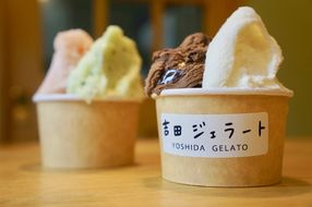 小さなジェラート工房「吉田ジェラート」が作るジェラートおまかせ８個セット 141305_EH01