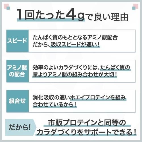 【12か月定期便】味の素（株）アミノバイタル（R)アミノプロテイン　レモン味・カシス味　各30本入り（交互にお届け） 141305_FD19