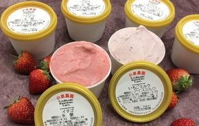 小泉農園ジェラートとイチゴ削り　8個セット 141305_FJ01