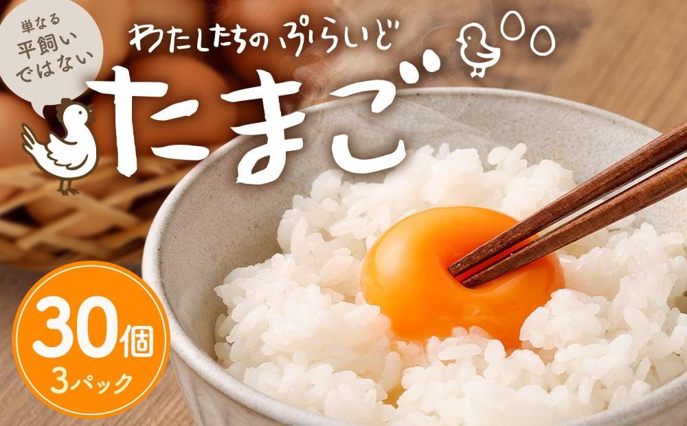 単なる平飼いではない究極の卵『わたしたちのぷらいどたまご』3パック(30個)セット 141305_GX01