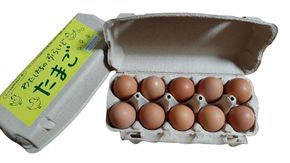 【定期便：6か月】単なる平飼いではない究極の卵『わたしたちのぷらいどたまご』3パック（30個）セット 141305_GX03