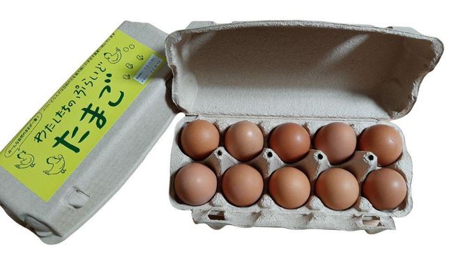 y_ސ쌧szyցF6zPȂ镽ł͂Ȃɂ̗w킽̂Ղ炢ǂ܂x3pbNi30jZbg 141305_GX03