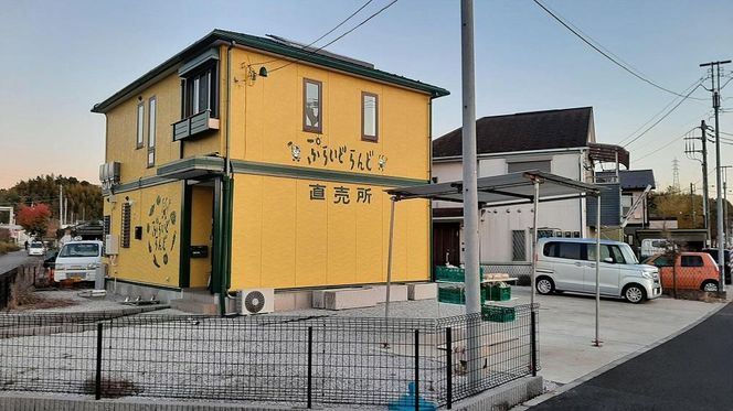 【定期便：6か月】単なる平飼いではない究極の卵『わたしたちのぷらいどたまご』3パック（30個）セット 141305_GX03