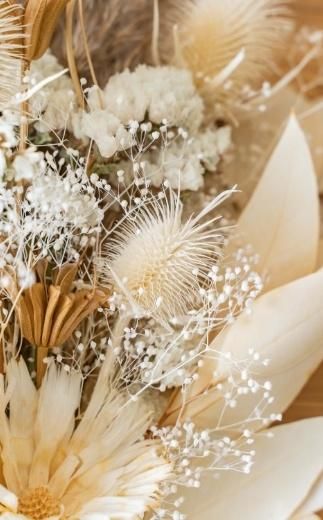 ドライフラワーブーケ ベージュ 141305_HJ01VC01
