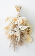 【スワッグ】ドライフラワーブーケ ベージュ 141305_HJ02VC01