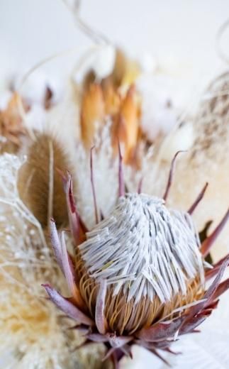 【花瓶アレンジ】ドライフラワーブーケ ベージュ Large 141305_HJ03VC03