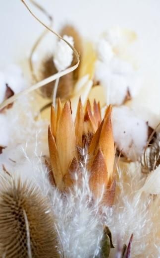 【花瓶アレンジ】ドライフラワーブーケ ベージュ Large 141305_HJ03VC03