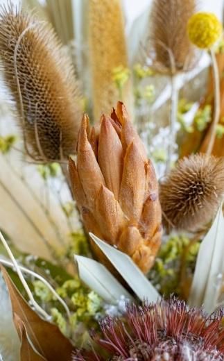 【花瓶アレンジ】ドライフラワーブーケ イエロー Large 141305_HJ03VC04