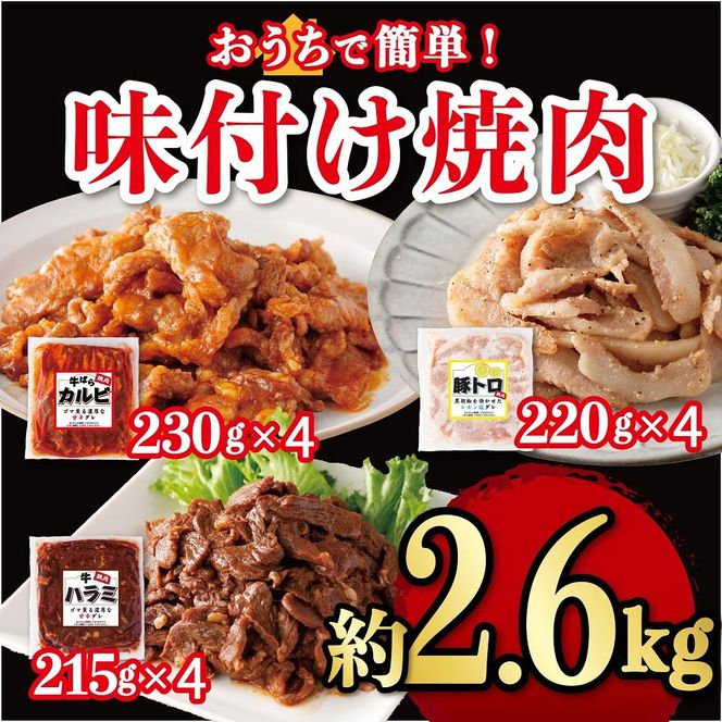 y_ސ쌧sztēlioJrA؃gAn~jv2.6kg 141305_HS001
