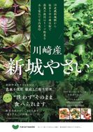 ミシュランシェフ御用達 鮮度2週間 無農薬6種リーフ300g 141305_HW001