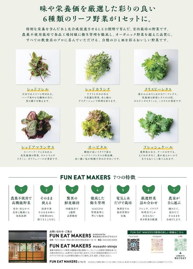 ミシュランシェフ御用達 鮮度2週間 無農薬6種リーフ500g 141305_HW002