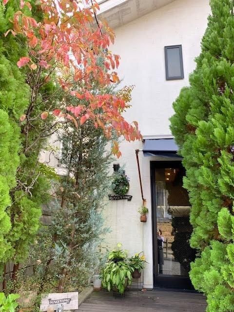 君に届けるカレー　10個 141305_HY002