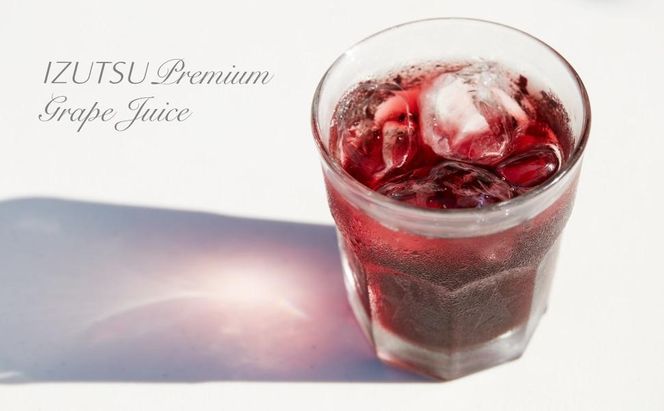 井筒ワイン 井筒プレミアム 完熟ぶどうジュース メルロー 720ml × 2本 極甘口 発売元 株式会社片山 141305_JN07